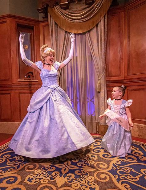 bibbidi bobbidi boutique dresses|bibbidi bobbidi boutique ariel.